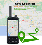GPS device with map display on a map background